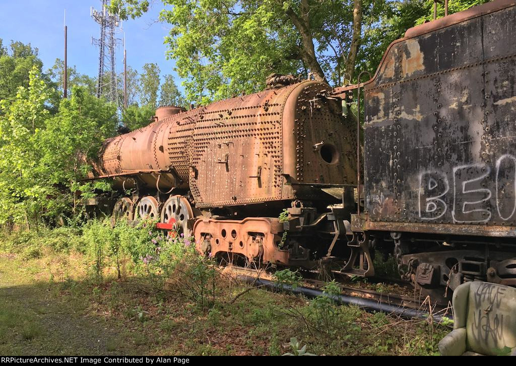 Ex NDEM ALCO 4-8-4 Niagara 3028 in weeds